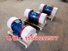 yzu-40-6振動(dòng)電機(jī) yzu-40-6振動(dòng)電機(jī)功率3KW 安裝孔尺寸350mm*220